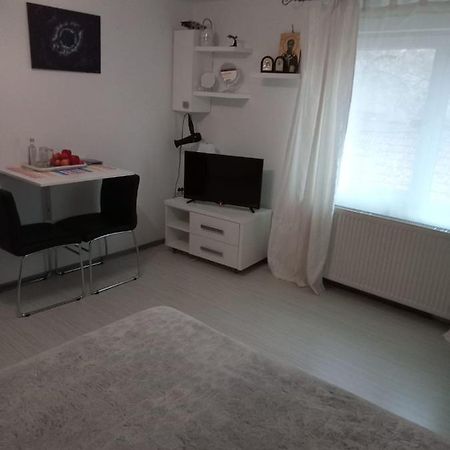 Apartament Cu Un Dormitor Spatios In Centrul Cluj Napoca Bagian luar foto