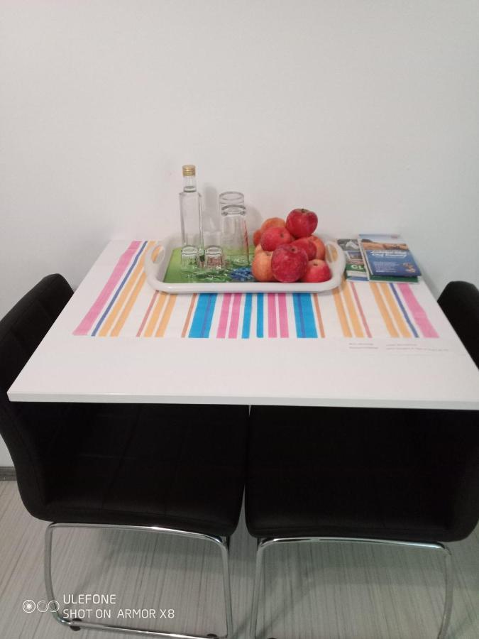 Apartament Cu Un Dormitor Spatios In Centrul Cluj Napoca Bagian luar foto