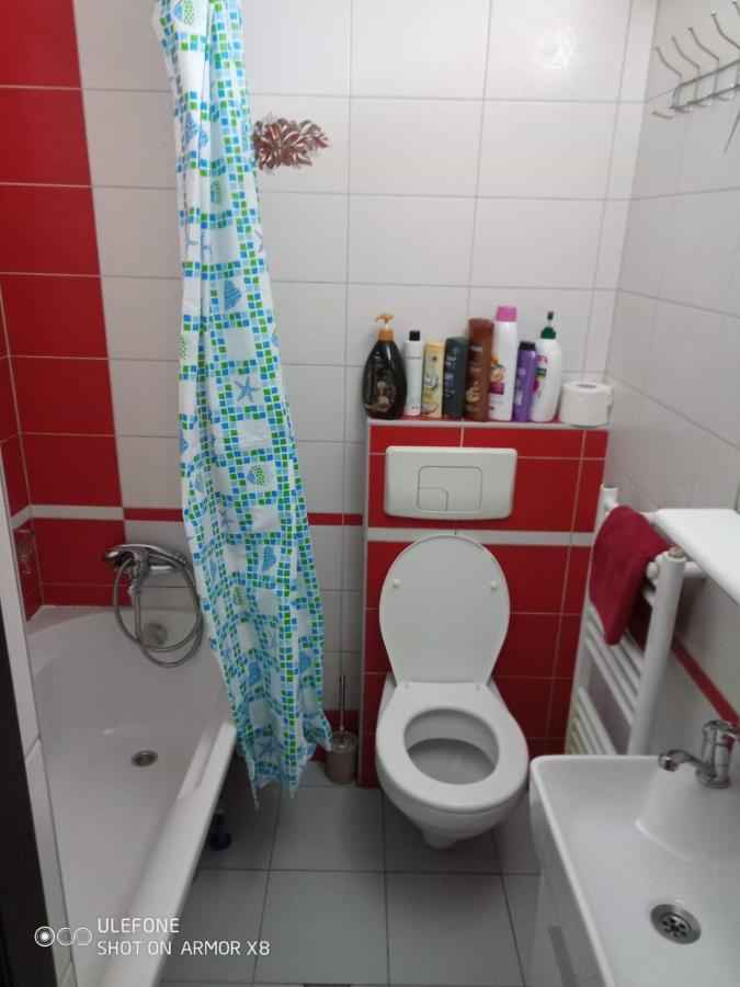 Apartament Cu Un Dormitor Spatios In Centrul Cluj Napoca Bagian luar foto