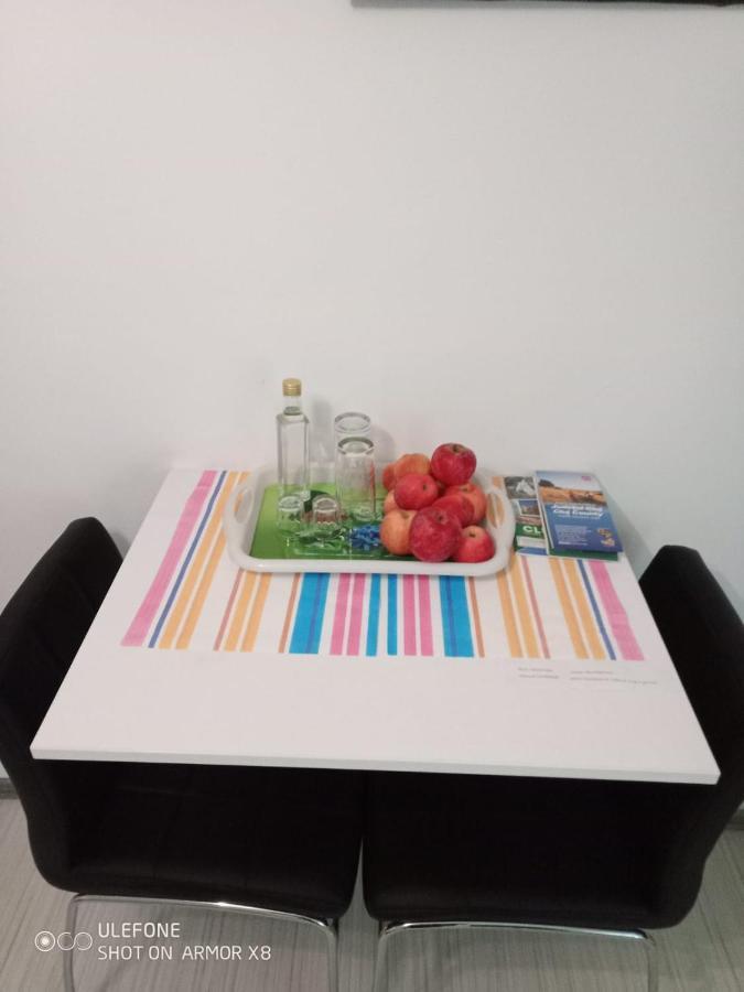 Apartament Cu Un Dormitor Spatios In Centrul Cluj Napoca Bagian luar foto