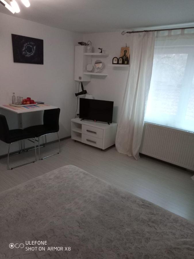 Apartament Cu Un Dormitor Spatios In Centrul Cluj Napoca Bagian luar foto