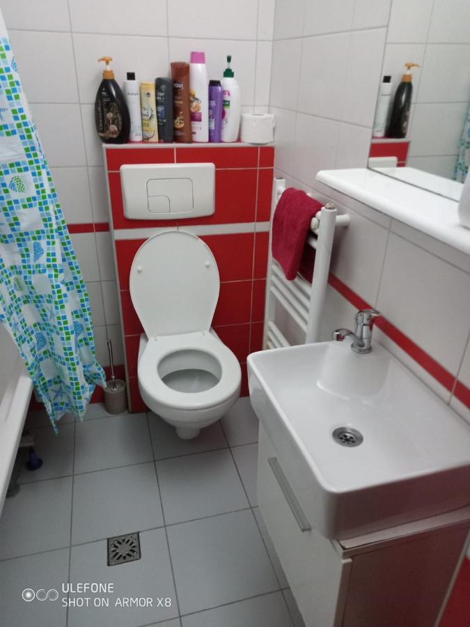 Apartament Cu Un Dormitor Spatios In Centrul Cluj Napoca Bagian luar foto